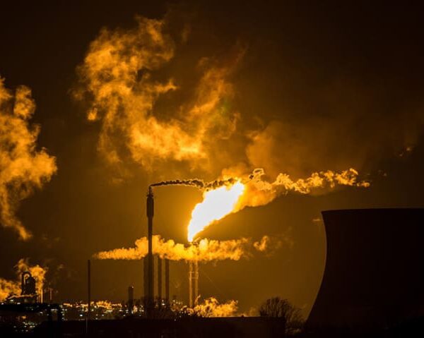 Jobs and kebabs on the road as UK metal sector activates itself…