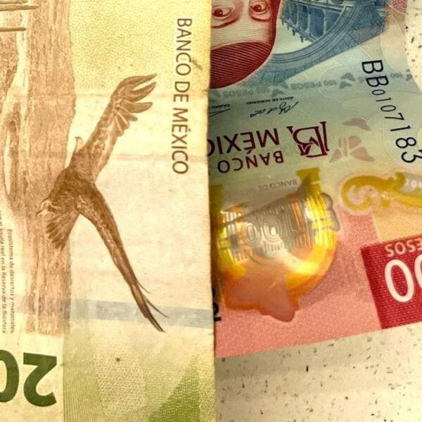 Mexico central financial institution lowers key price by 25 bps, as anticipated