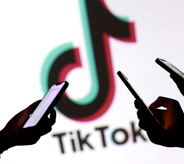 Patria-backed Omnia joins $9 billion TikTok knowledge heart undertaking in Brazil –…