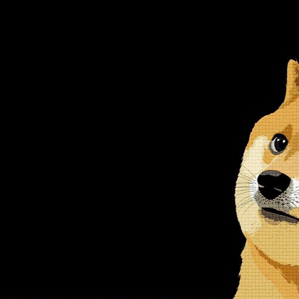 Bitwise To Debut Dogecoin ETF Following SEC Filing Update