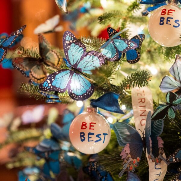 First girl Melania Trump decorates the White House for Christmas: ‘Home is…