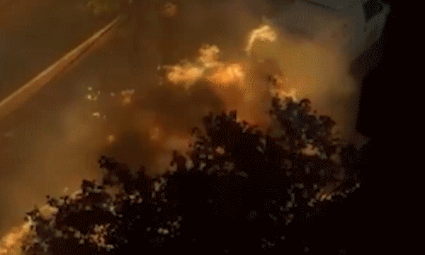 Firefighters harm after van explodes in Bronx, New York City