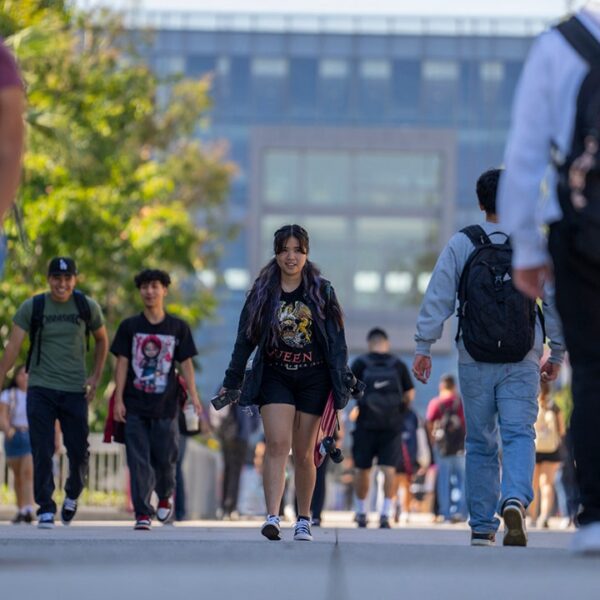 Survey finds most Americans say four-year school levels aren’t price the fee