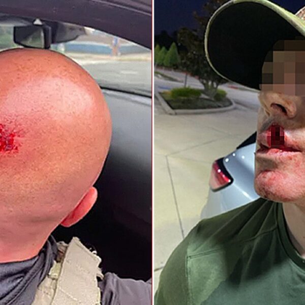 ICE officer assaults surge 1,150% beneath Trump admin, DHS reviews