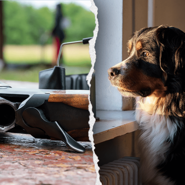 Dog by accident shoots proprietor with shotgun in Pennsylvania residence accident