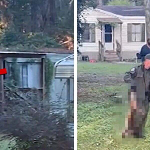 Watch Moment Mississippi Mom Shoots Escaped Monkey Dead, on Video