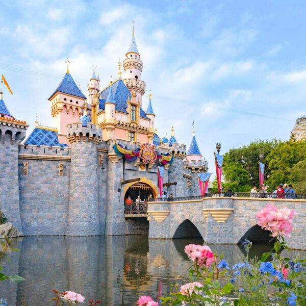 Perez Hilton reacts after Trump supporters plan “MAGA invasion” on Disneyland throughout…