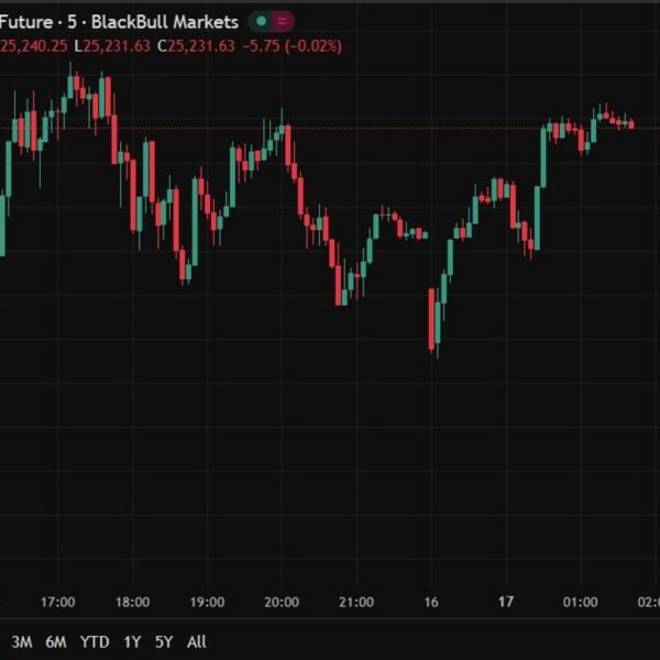 Berkshire reveals $4.3bn Alphabet stake, including Google to its prime holdings