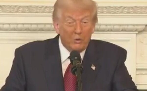 Trump Has A Deranged Meltdown After Voters Completely Reject Him