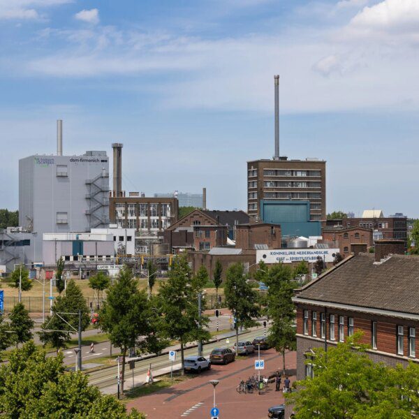 DSM-Firmenich Stock: High-Quality Value Play (OTCMKTS:DSMFF)