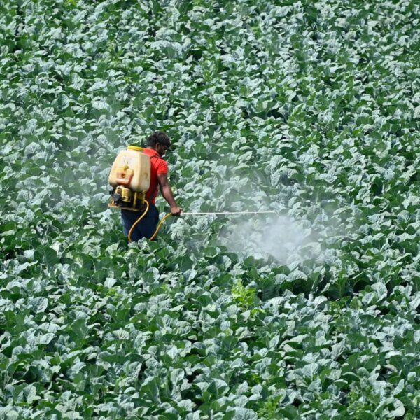 Teen founders elevate $6M to reinvent pesticides utilizing AI — and persuade…