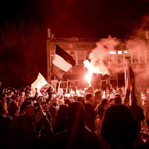 ‘Activists from elsewhere’: Chancellor says Iran-linked agitators gas protests