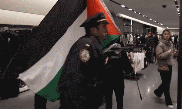 Arrests made as pro-Palestinian protesters burst into ZARA retailer on Black Friday