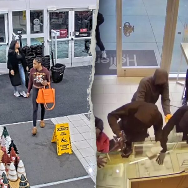 Former NYPD detective calls Black Friday the shoplifters’ ‘Super Bowl’