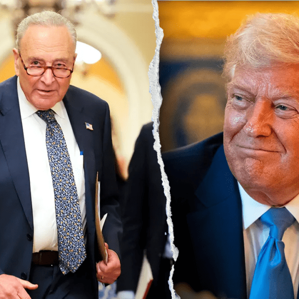 President Trump says Schumer ‘made a mistake’ as some Dems activate him
