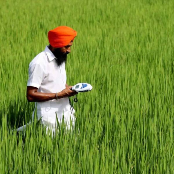 Kering-backed fund Mirova pours $30.5M into India’s Varaha for regenerative farming