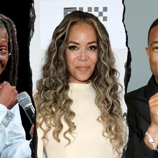 Media figures tear into Democrats, accuse celebration of caving on shutdown vote