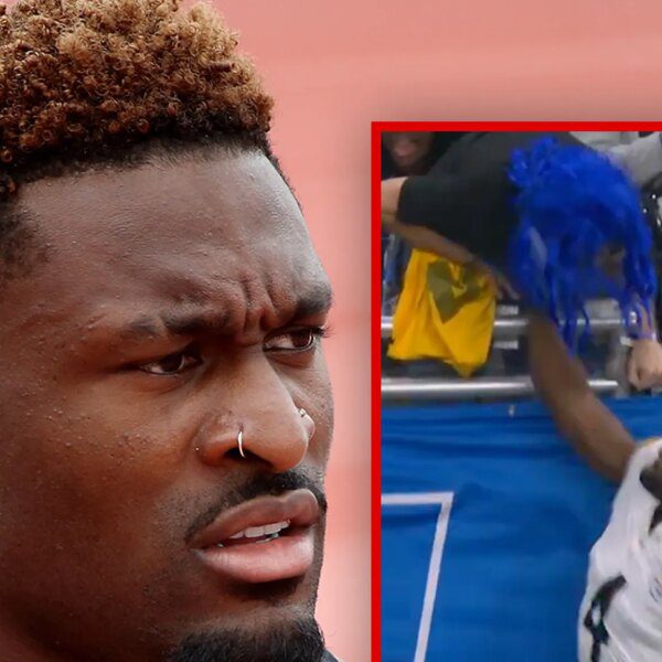 Steelers Wide Receiver DK Metcalf Throws Punch at Fan, on Video