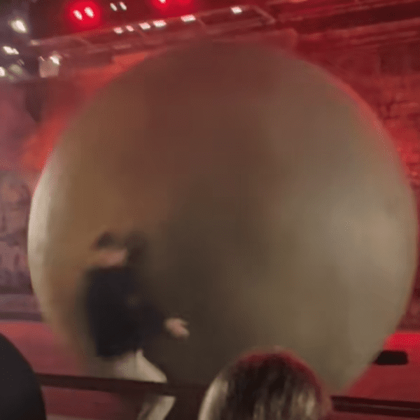 Disney World Employee Recovering After 400-lb Boulder Crushed Him