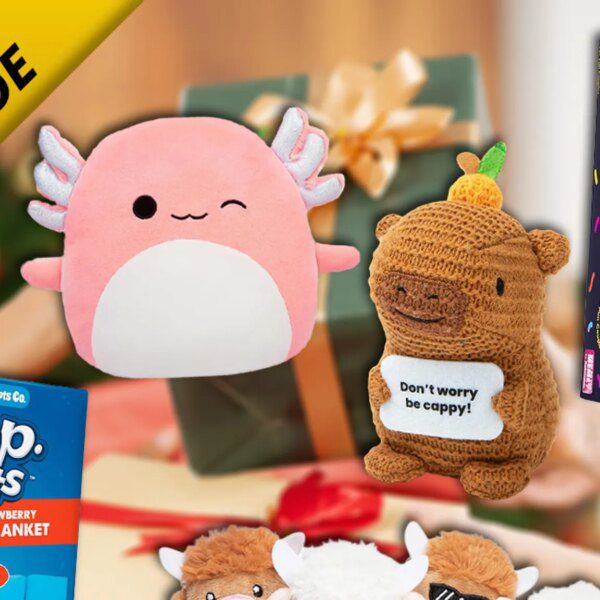 Quirky Last Minute Presents Under $30