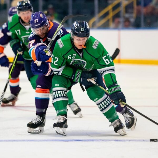 ECHL gamers go on strike; video games postponed