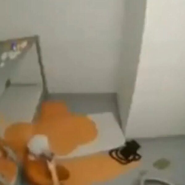 Jeffrey Epstein Video Purportedly Shows Him Trying To Kill Himself: DOJ