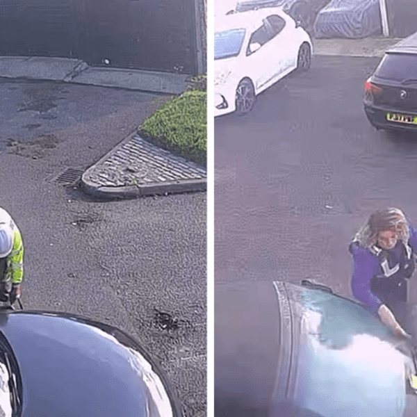 Driver Gets 4 Parking Tickets After Disability Space Painted Around His Car