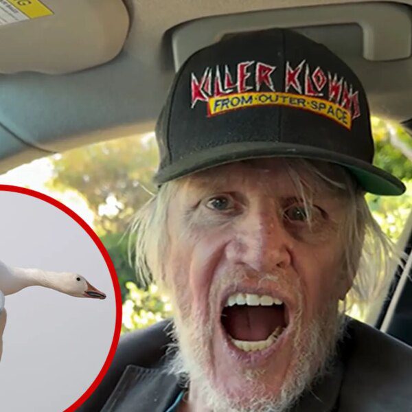 Gary Busey Loudly Honks Like a Goose in Bizarre Holiday Video