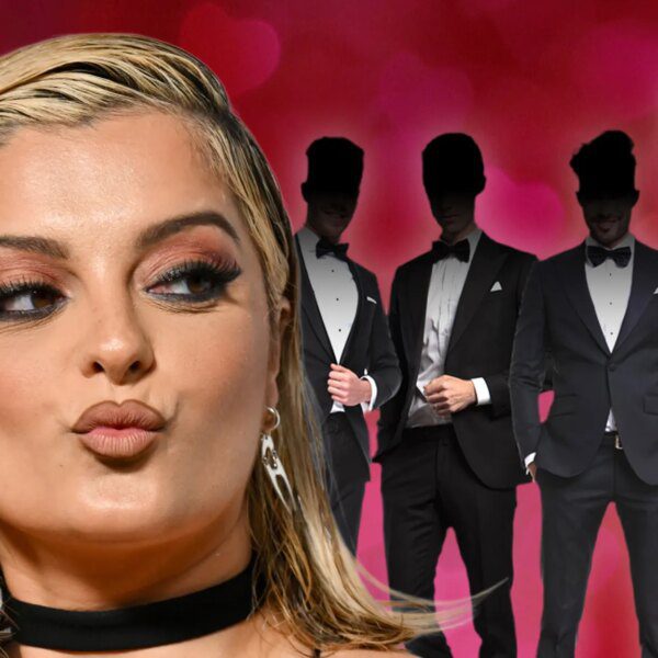 Bebe Rexha Asks Fans to Help Find Her Future Baby Daddy, Lists&hellip;
