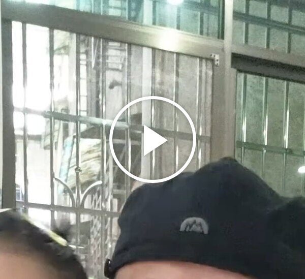 What Parents in China See in A.I. Toys