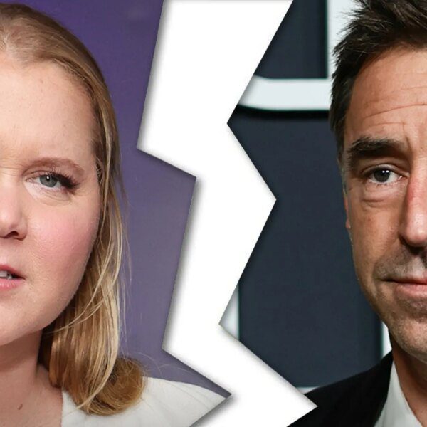 Amy Schumer and Chris Fischer Divorcing After Over 7 Years of Marriage
