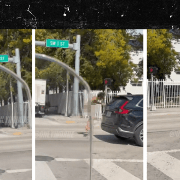 Naked Florida Man Runs Into Traffic, Hit by Car on Video