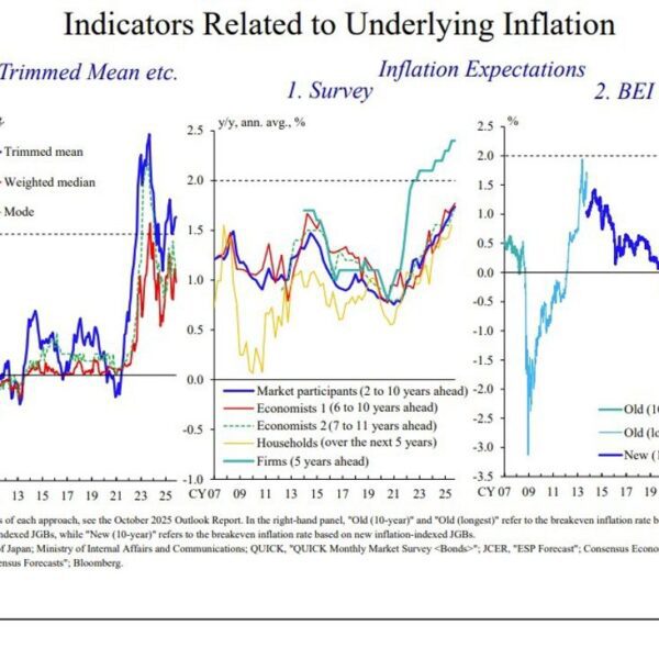 BOJ’s Ueda sees wages and inflation reinforcing rate-hike case