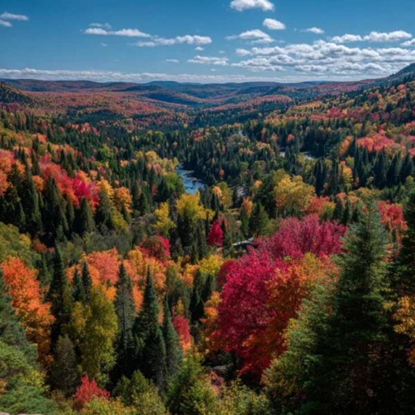 Canada November producer value index +6.1% y/y vs +6.0% prior