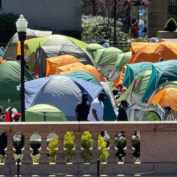 Higher training renewal indicators hope as college students push again in 2025