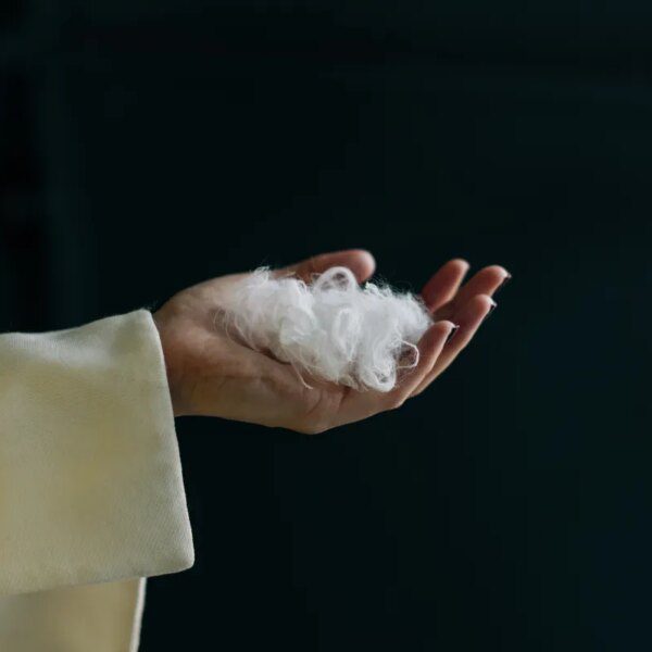 Everbloom constructed an AI to show rooster feathers into cashmere