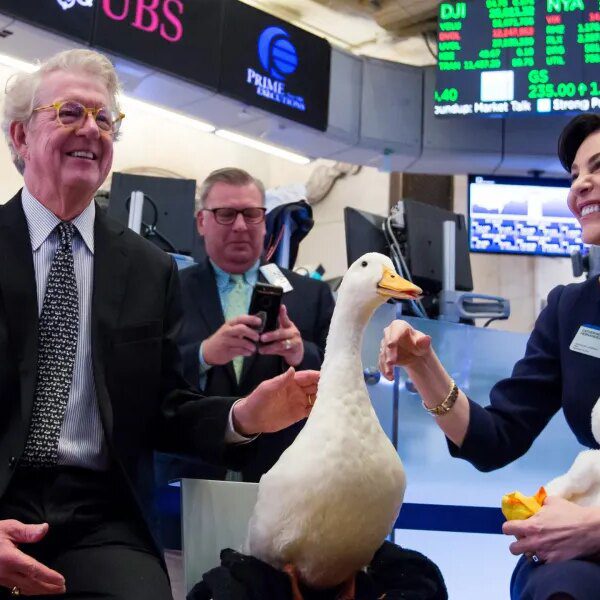 The Aflac duck success story: How the corporate achieved wild success from…