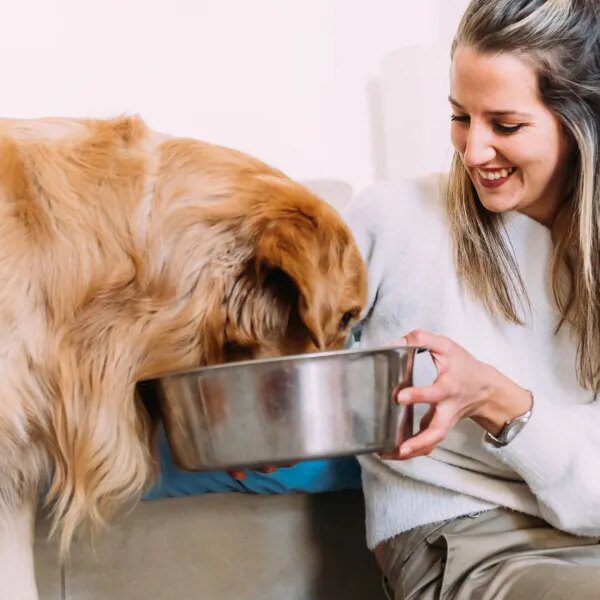 Freshpet’s COO says clients spend extra on pets than youngsters