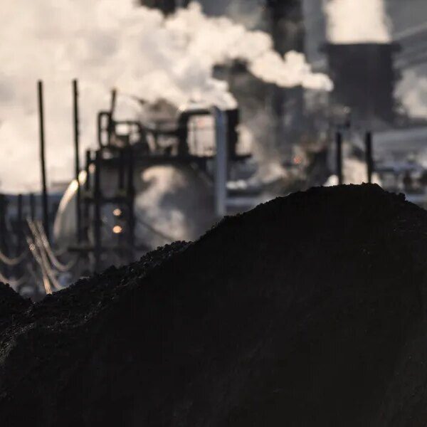 Banking on carbon markets 2.0: why monetary establishments ought to interact with…