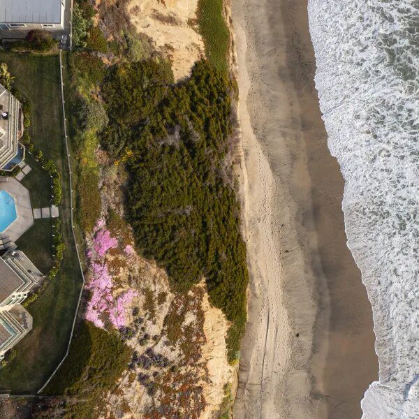 Tricolor paid CEO $30 million in yr earlier than alleged fraud