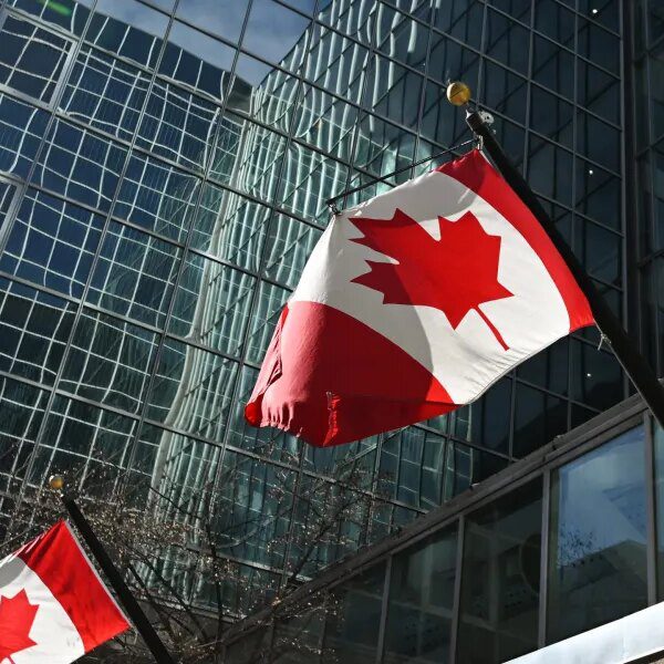 Canadian shares set report for data in ‘jaw-dropping’ 12 months