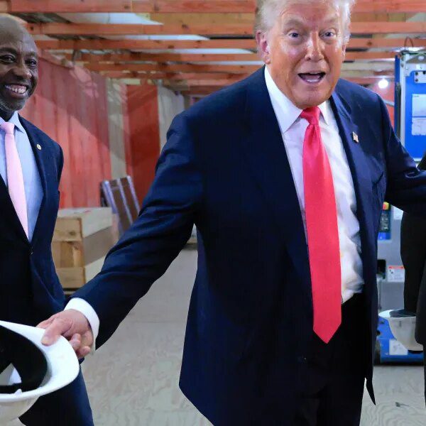 If the Fed cuts rates of interest in the present day it…