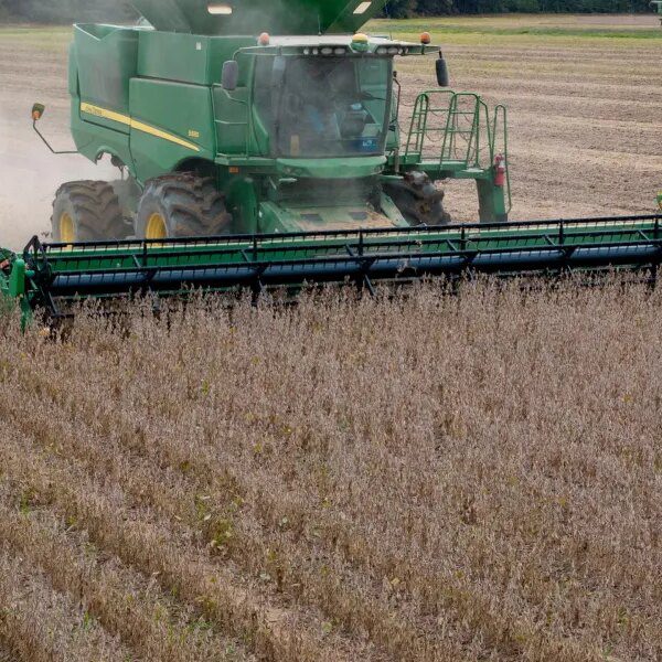 More financially distressed farmers will lose their property as mortgage repayments and…