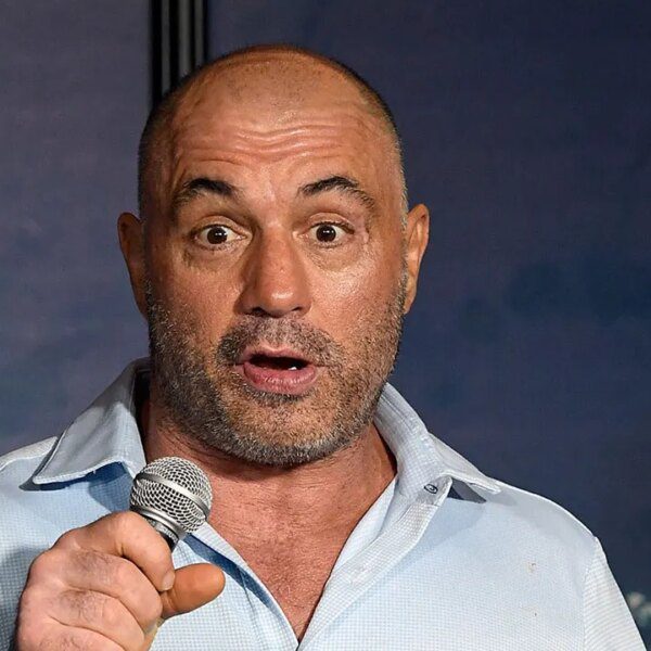 Rogan blasts liberal insurance policies for enabling mountain lions to eat pets