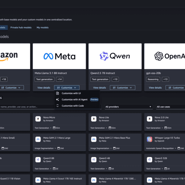 AWS doubles down on customized LLMs with options meant to simplify mannequin creation