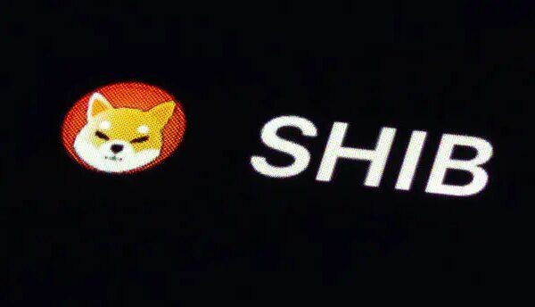 Shiba Inu Engineer Leaves Community Stunned With Sharp Exit
