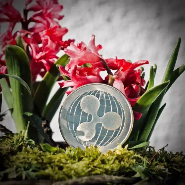 The Decision That Could Change Everything For XRP Investors