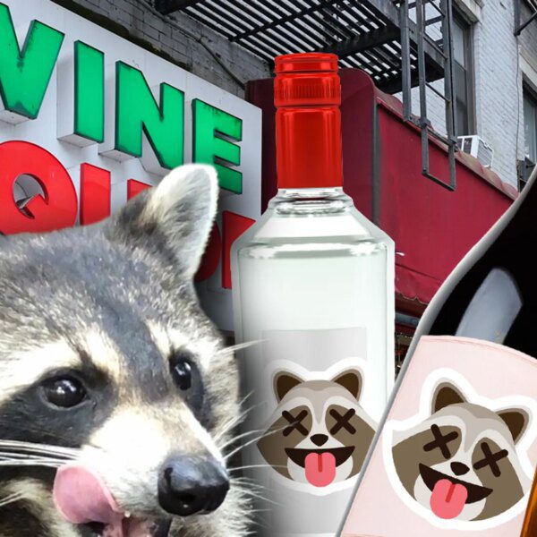 Viral ‘Drunk Raccoon’ Liquor Store Releases Three Cocktails