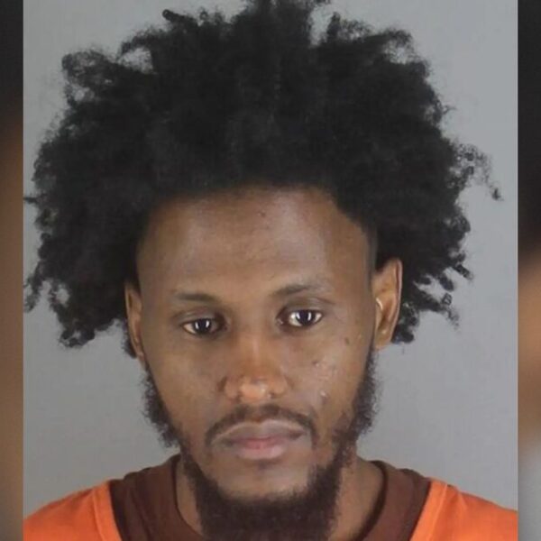 Minnesota Immigrant Rapist Who Walked Free on “Sweetheart” Plea Deals Strikes Again…