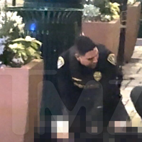 Woman Who Hired Hitman Kills Herself Outside Bar, Police Respond, on Video